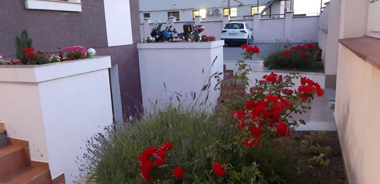 Vila Family Cricova Zewnętrze zdjęcie